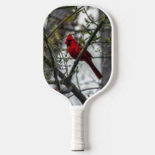 Kardinal Pickleball Schläger