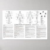 Kardinal Points of Acupuncture Poster (Vorne)