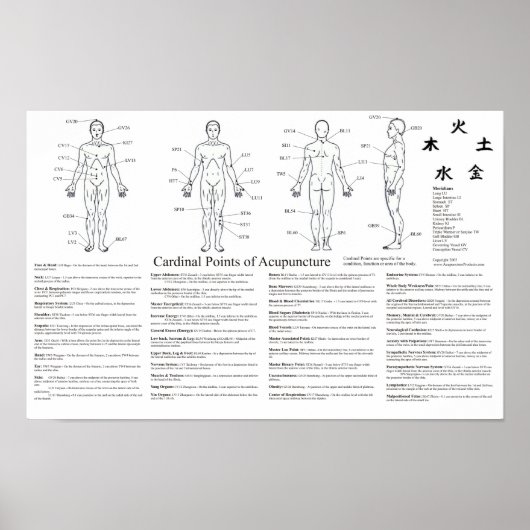 Kardinal Points of Acupuncture Poster (Vorne)