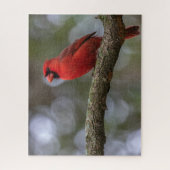 Kardinal Portrait Puzzle (Vertikal)