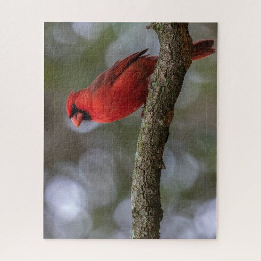 Kardinal Portrait Puzzle (Vertikal)