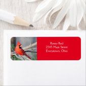 Kardinal-Pose (Insitu)