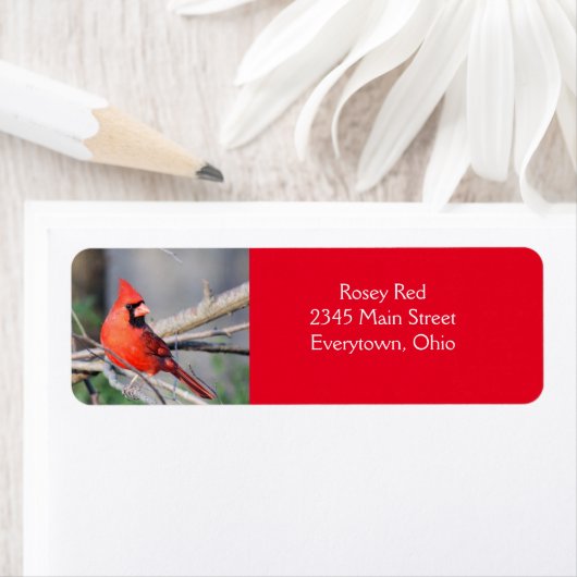 Kardinal-Pose (Insitu)