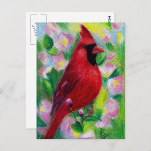 Kardinal Postcard Postkarte (Vorne/Hinten)