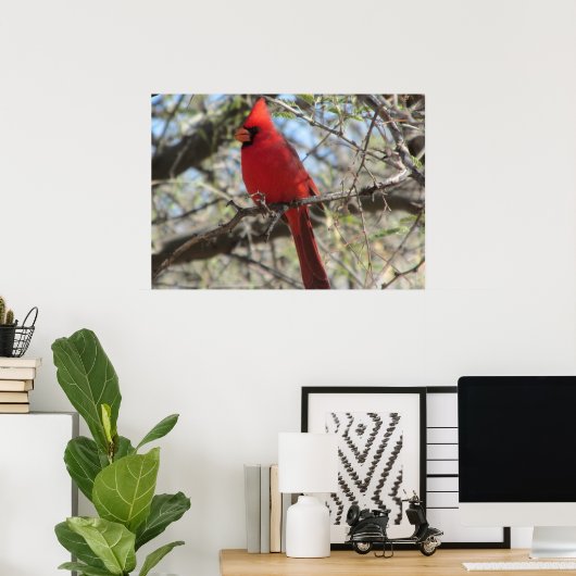 Kardinal Poster (Heimbüro)