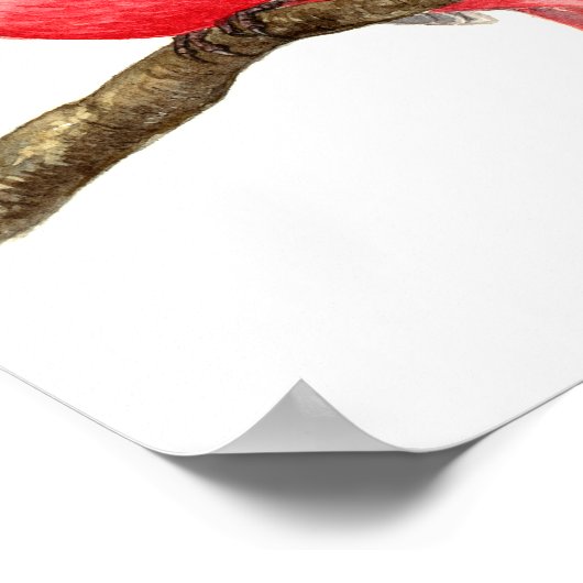 Kardinal Poster (Ecke)