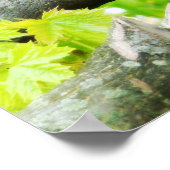 Kardinal Poster (Ecke)