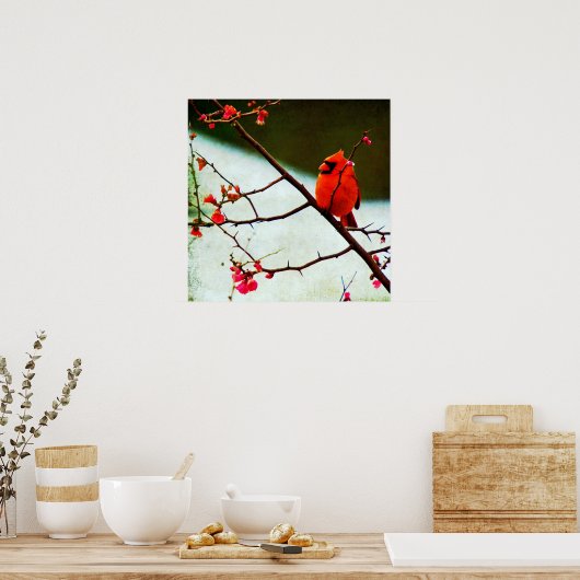 Kardinal Poster (Küche)