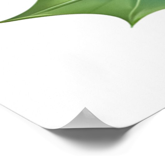 Kardinal Poster (Ecke)