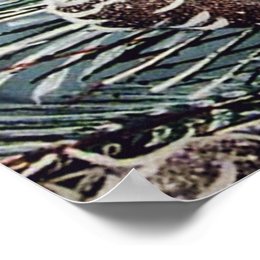 Kardinal Poster (Ecke)