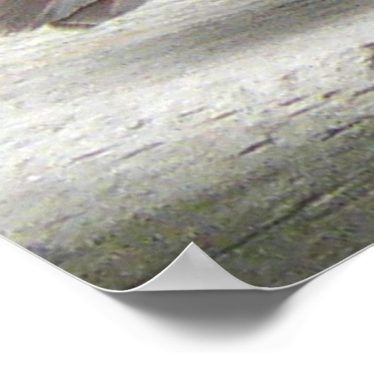 Kardinal Poster (Ecke)