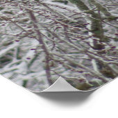 Kardinal Poster (Ecke)