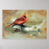 Kardinal Poster (Vorne)