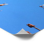 Kardinal Poster (Ecke)