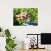 Kardinal Poster (Heimbüro)