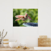 Kardinal Poster (Küche)