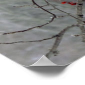 Kardinal Poster (Ecke)