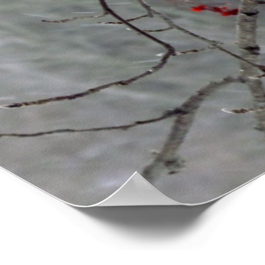 Kardinal Poster (Ecke)