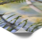 Kardinal Poster (Ecke)