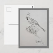 Kardinal Postkarte (Vorne/Hinten)