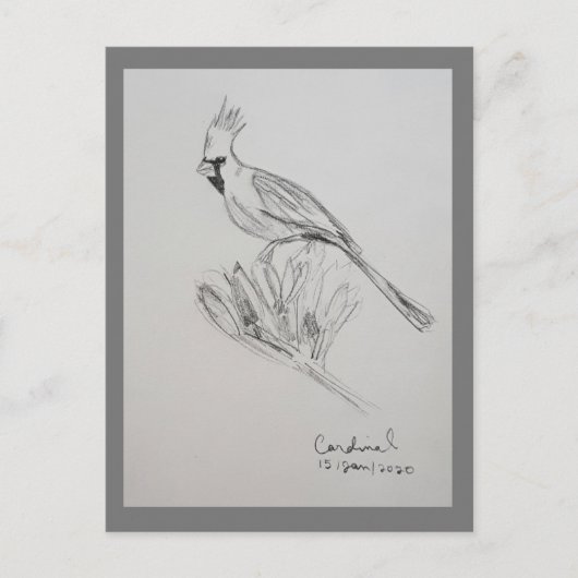 Kardinal Postkarte (Vorderseite)