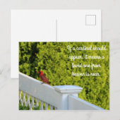 Kardinal Postkarte (Vorne/Hinten)