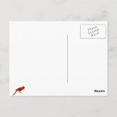 Kardinal Postkarte (Rückseite)