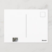 Kardinal Postkarte (Rückseite)