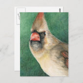 Kardinal Postkarte (Vorne/Hinten)