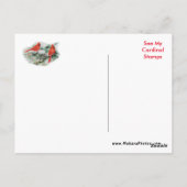 Kardinal Postkarte für Frauen - nach Wunsch person (Rückseite)