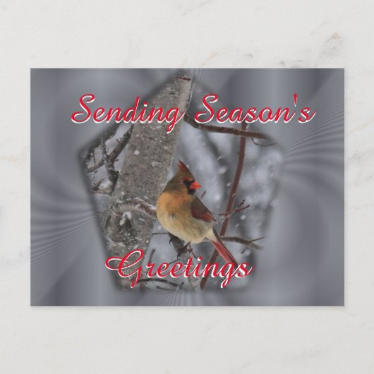 Kardinal Postkarte für Frauen - nach Wunsch person (Vorderseite)