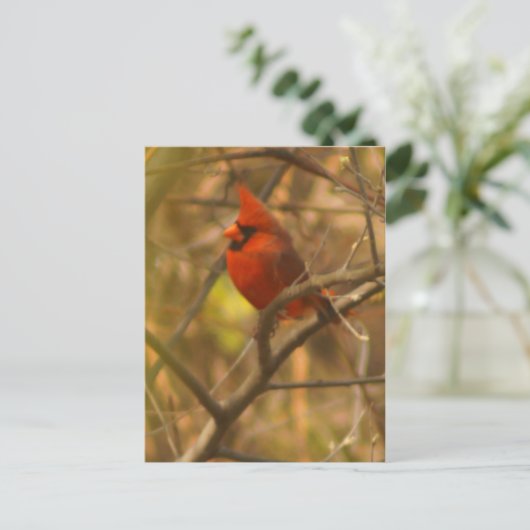 Kardinal-Postkarte Postkarte (Stehend Vorderseite)