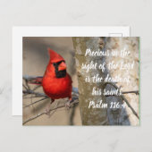 Kardinal Postkarte Psalm 116:15 (Vorne/Hinten)