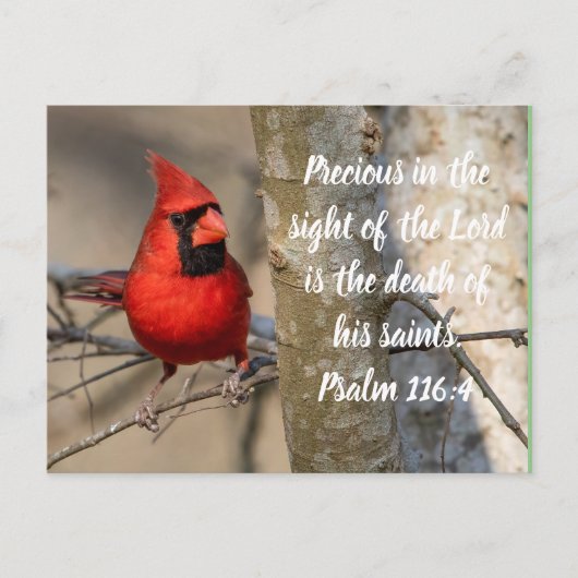 Kardinal Postkarte Psalm 116:15 (Vorderseite)