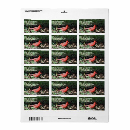 Kardinal-Postleitzahl Adressaufkleber (Vorne)