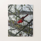 Kardinal Puzzle (Vertikal)