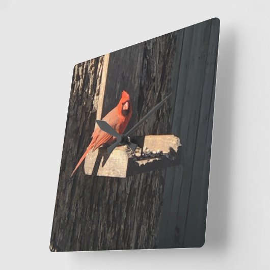 Kardinal Quadratische Wanduhr (Winkel)