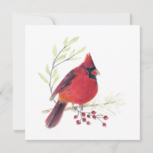 Kardinal Red Bird Art (Vorderseite)