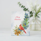 Kardinal Red Juniper Berries Weihnachten (Stehend Vorderseite)