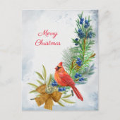 Kardinal Red Juniper Berries Weihnachten (Vorderseite)