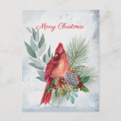 Kardinal Red Pine Grüne Weihnachten (Vorderseite)