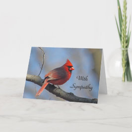 Kardinal Red Songbird Beileid Karte
