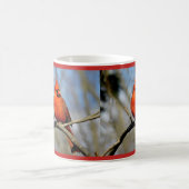 Kardinal Red Tasse (Mittel)