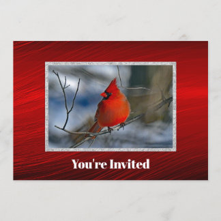 Kardinal Red Winter Foto Geburtstag Einladung