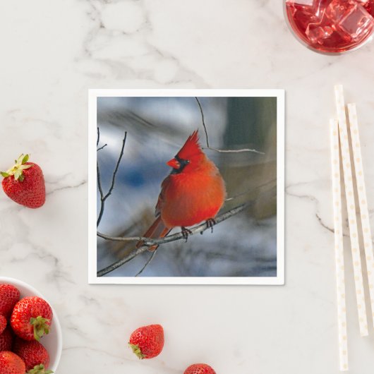 Kardinal Red Winter Foto Serviette (Beispiel)