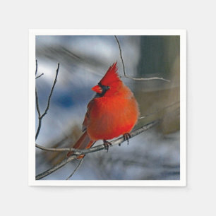 Kardinal Red Winter Foto Serviette