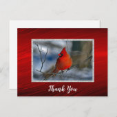 Kardinal Red Winter Foto Vielen Dank Postkarte (Vorne/Hinten)