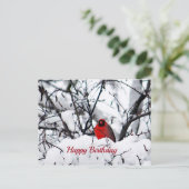 Kardinal Redbird Snow Foto Geburtstag Postkarte (Stehend Vorderseite)