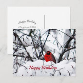 Kardinal Redbird Snow Foto Geburtstag Postkarte (Vorne/Hinten)