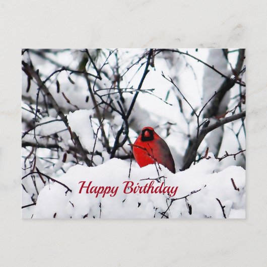 Kardinal Redbird Snow Foto Geburtstag Postkarte (Vorderseite)